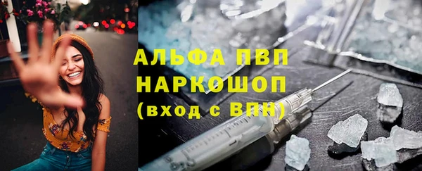 тгк Алзамай