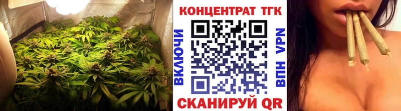 где купить   Аргун  Дистиллят ТГК THC oil 